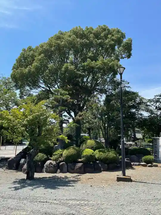 時宗総本山 遊行寺(正式:清浄光寺)(神奈川県)