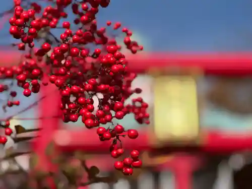 差出磯大嶽山神社 仕事と健康と厄よけの神さまの自然