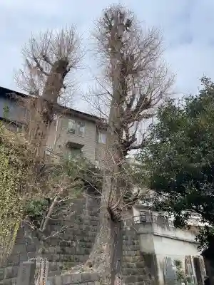 妙行寺の{uncategorized: "未分類", other: "その他", undefined: "問題あり", building: "その他建物", grave: "お墓", sacred_gate: "鳥居", guardian: "狛犬", statue: "像", buddha: "仏像", history: "歴史", nature: "自然", garden: "庭園", animal: "動物", pagoda: "塔", temizu: "手水舎", mountain_gate: "山門・神門", sanctuary: "本殿・本堂", subordinate: "末社・摂社", art: "芸術", scenery: "景色", jizo: "地蔵", ema: "絵馬", goshuin: "御朱印", omikuji: "おみくじ", items: "授与品その他", amulet: "お守り", goshuincho: "御朱印帳", eats: "食事", festival: "お祭り", votive_dance: "神楽", shichigosan: "七五三参", wedding: "結婚式", experience: "体験その他", initially: "初詣", around: "周辺", anti_infection: "感染症対策"}