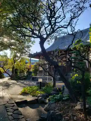 瑞円寺のその他建物