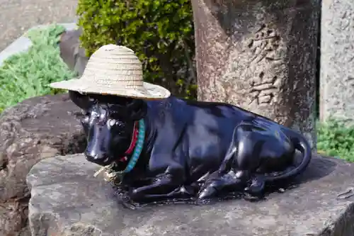 大松禅寺(京都府)