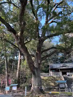 事任八幡宮(静岡県)