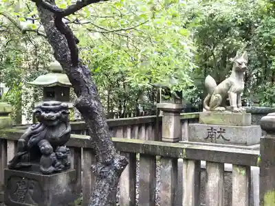 繁榮稲荷神社の狛犬