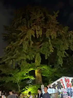 七社神社(東京都)