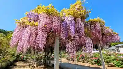 金蛇水神社(宮城県)