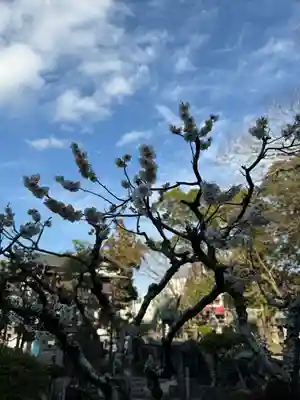 大井神社(静岡県)