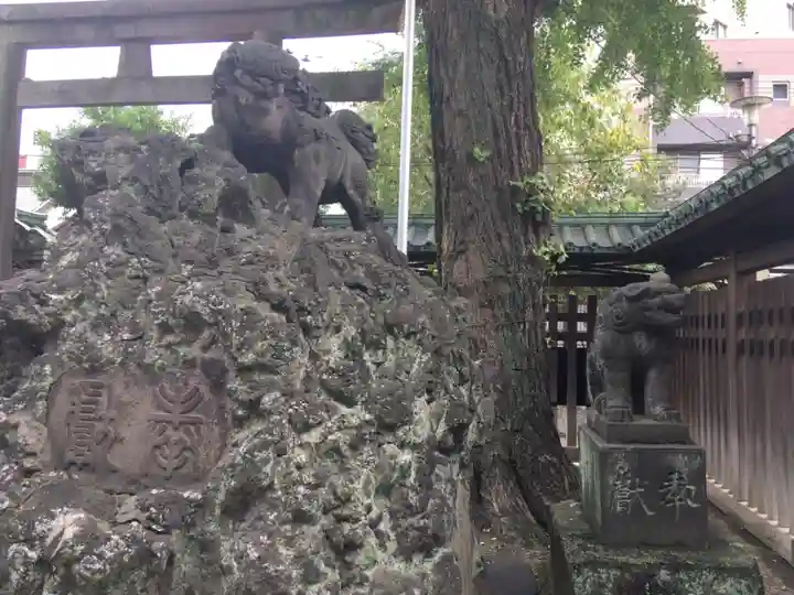 牛嶋神社の狛犬