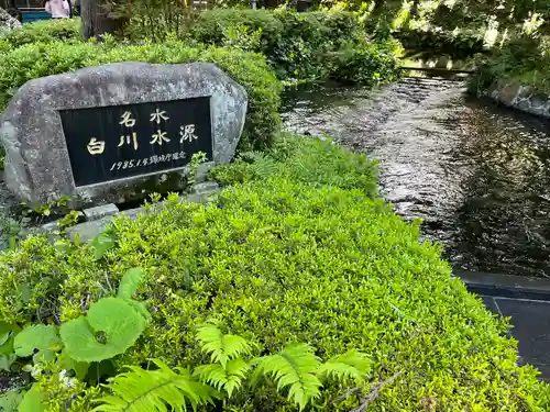 白川吉見神社の建物その他