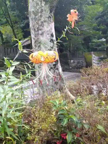 若一王子宮の自然