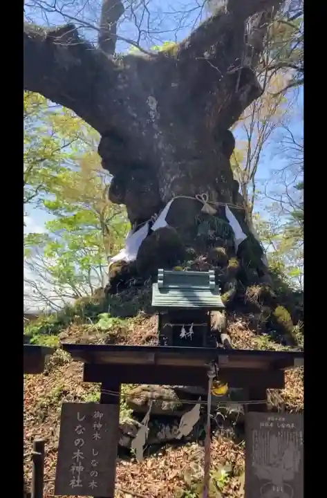 熊野皇大神社の{uncategorized: "未分類", other: "その他", undefined: "問題あり", building: "その他建物", grave: "お墓", sacred_gate: "鳥居", guardian: "狛犬", statue: "像", buddha: "仏像", history: "歴史", nature: "自然", garden: "庭園", animal: "動物", pagoda: "塔", temizu: "手水舎", mountain_gate: "山門・神門", sanctuary: "本殿・本堂", subordinate: "末社・摂社", art: "芸術", scenery: "景色", jizo: "地蔵", ema: "絵馬", goshuin: "御朱印", omikuji: "おみくじ", items: "授与品その他", amulet: "お守り", goshuincho: "御朱印帳", eats: "食事", festival: "お祭り", votive_dance: "神楽", shichigosan: "七五三参", wedding: "結婚式", experience: "体験その他", initially: "初詣", around: "周辺", anti_infection: "感染症対策"}