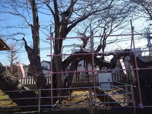 豊受神社(千葉県)