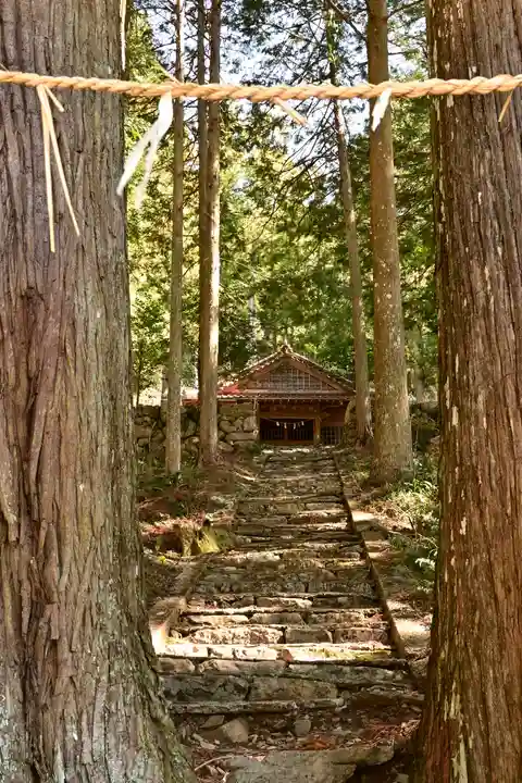 三所神社(桑の川の大杉)(高知県)