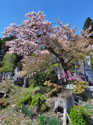 願成寺(福島県)
