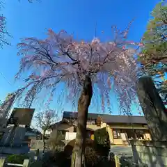 尾曳稲荷神社の自然