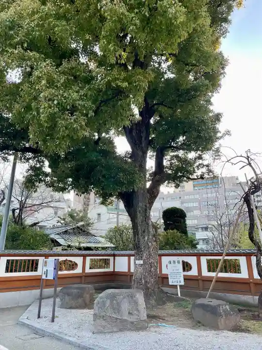 天妙国寺(東京都)