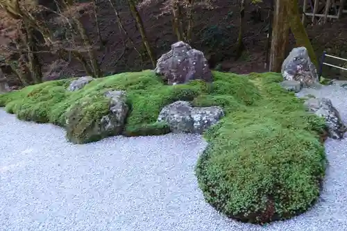 古知谷阿弥陀寺の庭園