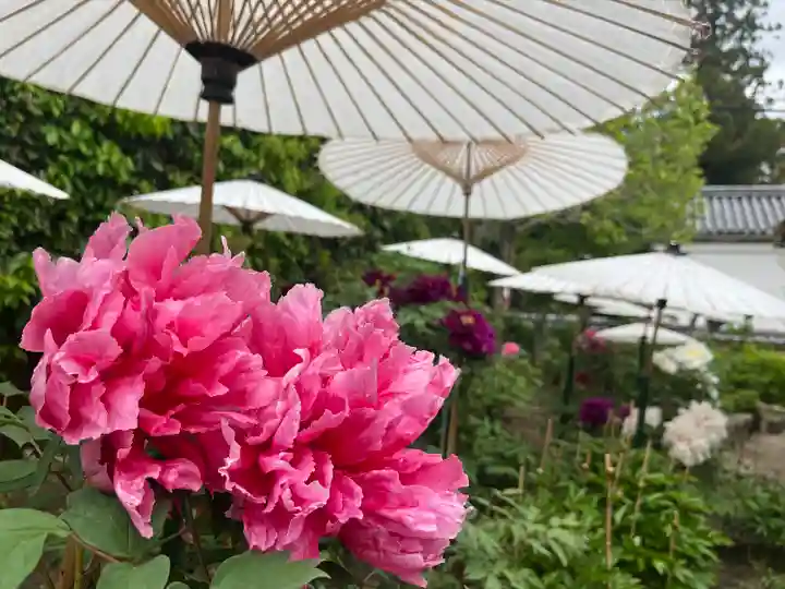 當麻寺西南院の自然