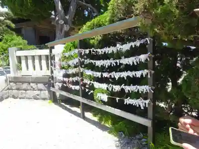 森戸大明神（森戸神社）のおみくじ