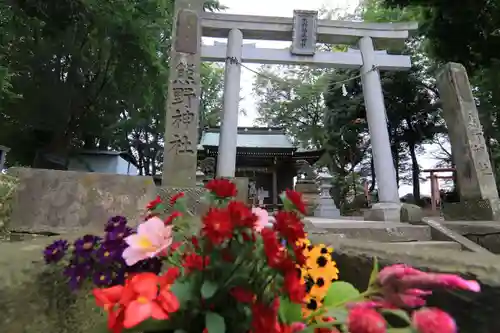 熊野福藏神社の鳥居