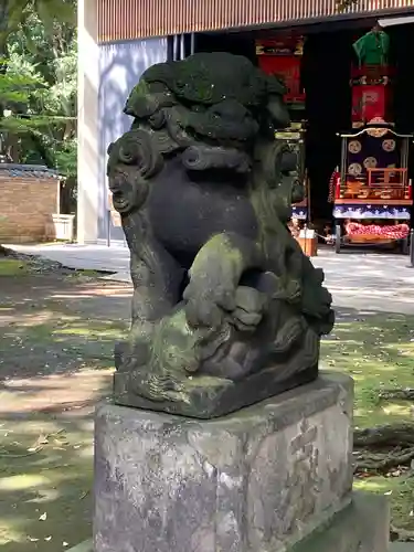 赤坂氷川神社の狛犬