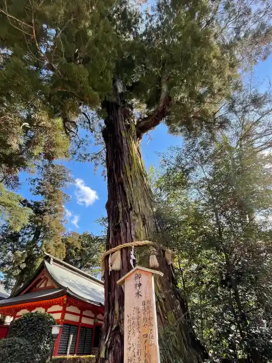 香取神宮の自然