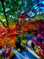 宝満宮竈門神社の自然