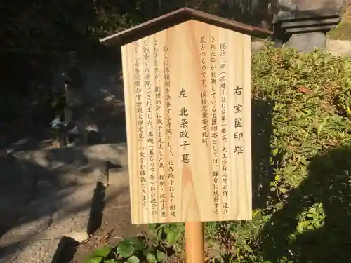 安養院　(田代寺）(神奈川県)