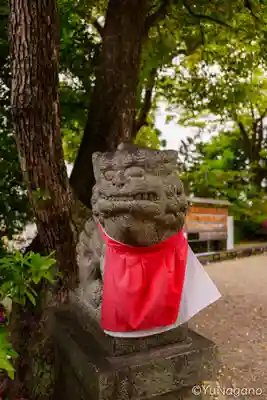 磯良神社（疣水神社）(大阪府)