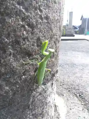 白山神社(福井県)