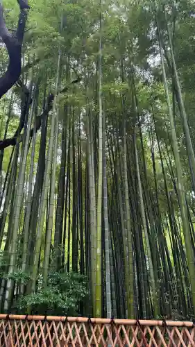 大宮八幡宮(東京都)
