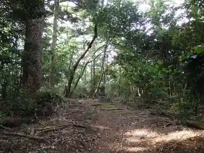 金剱神社の自然