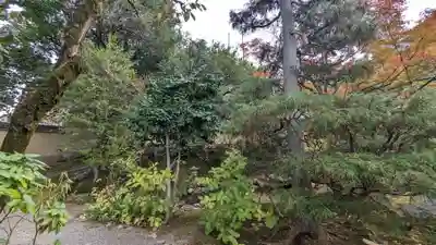 霊源寺(京都府)