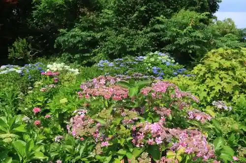 豊景神社の庭園