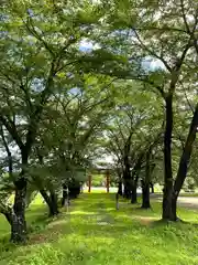 子檀嶺神社(長野県)