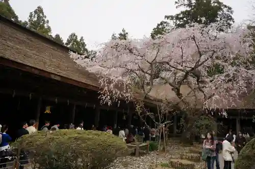 吉野水分神社（吉野町）の本殿・本堂