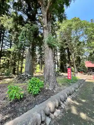 吾妻神社の自然