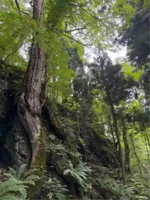 十和田神社(青森県)