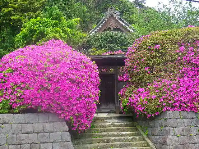 安養院 (田代寺)の周辺