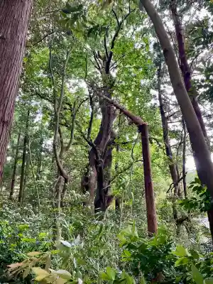 祓戸神社(新潟県)