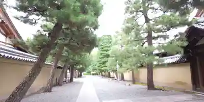 大徳寺のその他建物