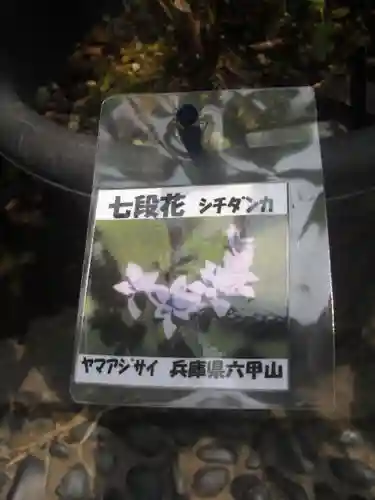 光則寺(神奈川県)