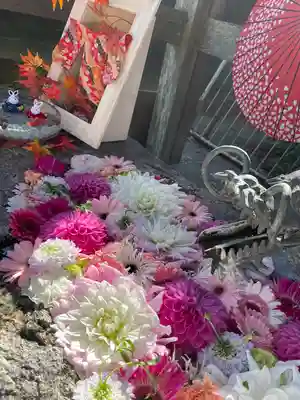 彌都加伎神社の手水舎