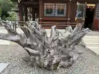 姉埼神社(千葉県)