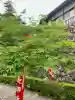 関善光寺の{uncategorized: "未分類", other: "その他", undefined: "問題あり", building: "その他建物", grave: "お墓", sacred_gate: "鳥居", guardian: "狛犬", statue: "像", buddha: "仏像", history: "歴史", nature: "自然", garden: "庭園", animal: "動物", pagoda: "塔", temizu: "手水舎", mountain_gate: "山門・神門", sanctuary: "本殿・本堂", subordinate: "末社・摂社", art: "芸術", scenery: "景色", jizo: "地蔵", ema: "絵馬", goshuin: "御朱印", omikuji: "おみくじ", items: "授与品その他", amulet: "お守り", goshuincho: "御朱印帳", eats: "食事", festival: "お祭り", votive_dance: "神楽", shichigosan: "七五三参", wedding: "結婚式", experience: "体験その他", initially: "初詣", around: "周辺", anti_infection: "感染症対策"}