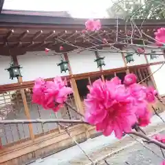 尾張大國霊神社（国府宮）の自然