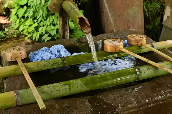 白山神社(長滝神社・白山長瀧神社・長滝白山神社)(岐阜県)
