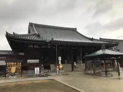 金倉寺の本殿・本堂