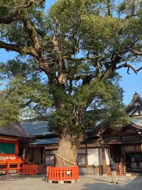 宇佐神宮の自然