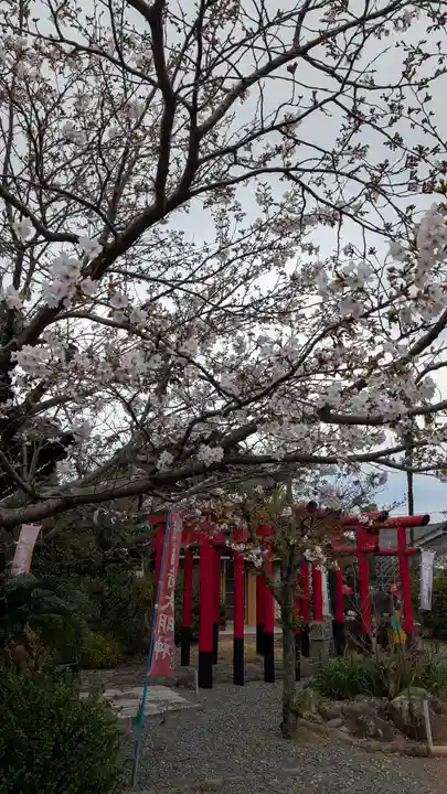 浄心院(福岡県)