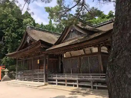 白鬚神社の本殿